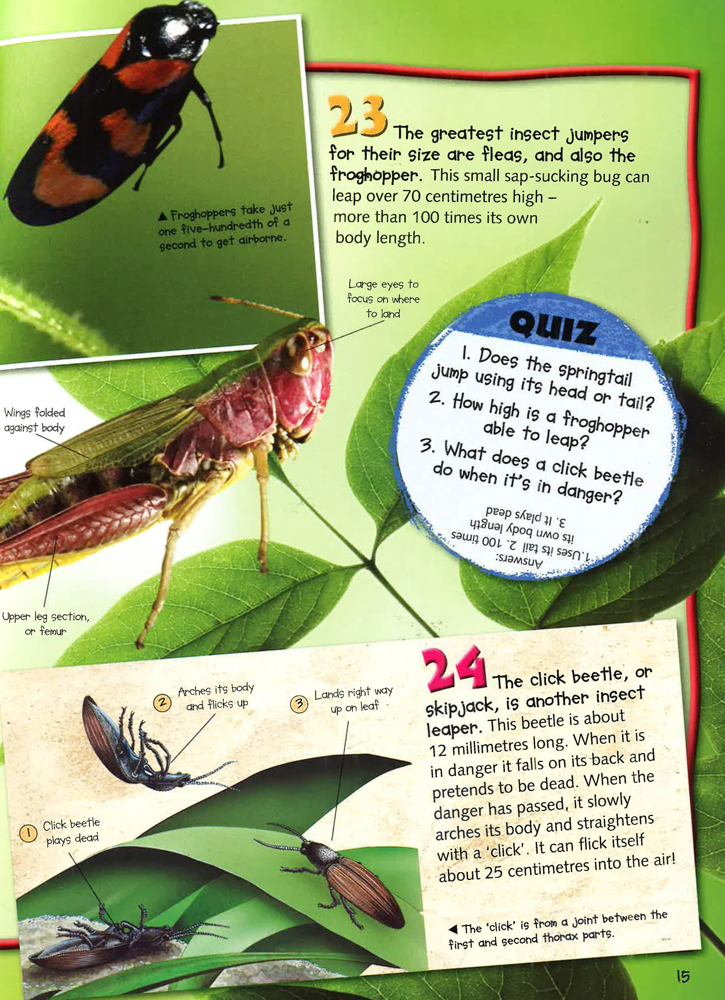 100 Facts: Bugs