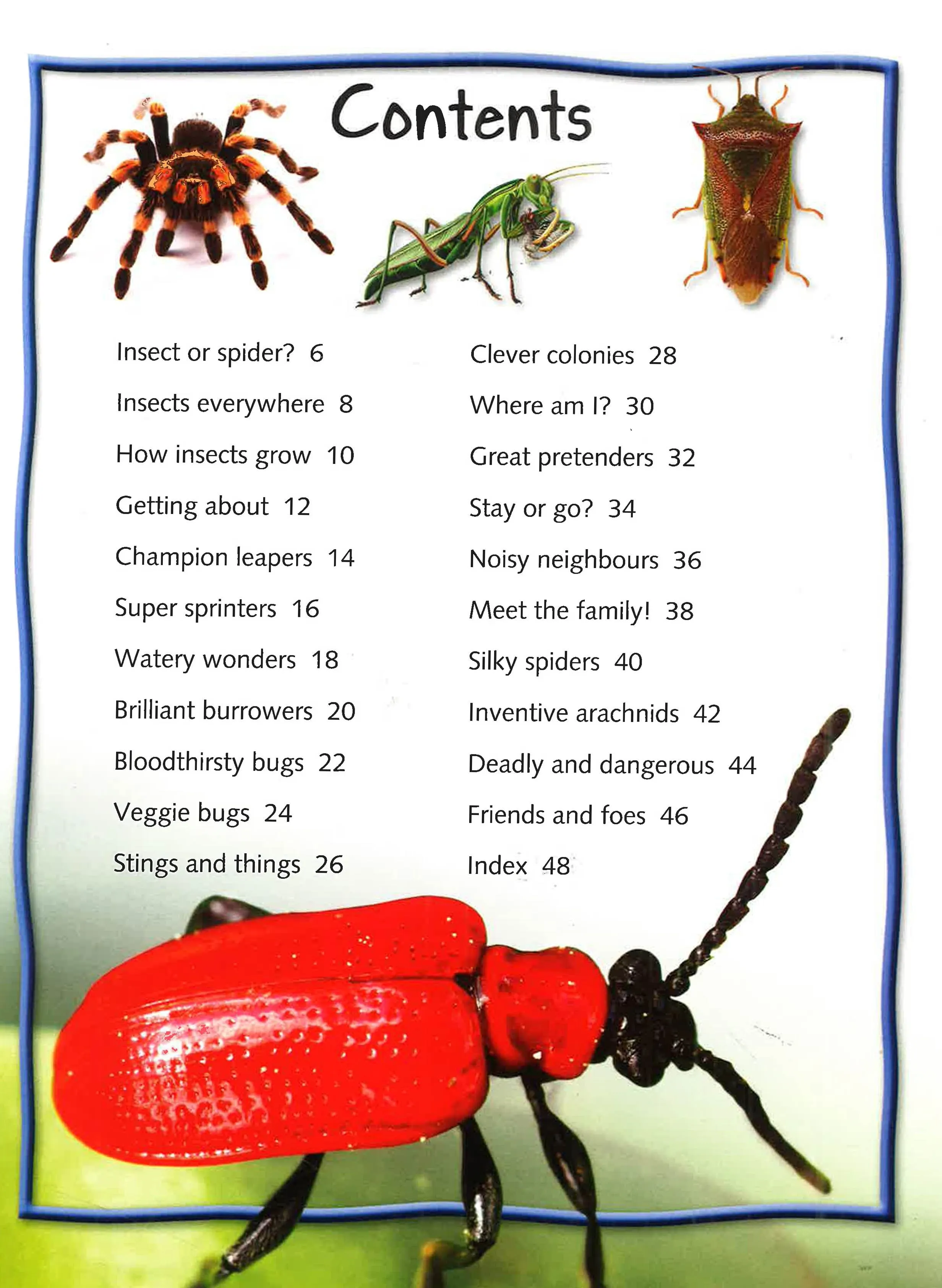 100 Facts: Bugs