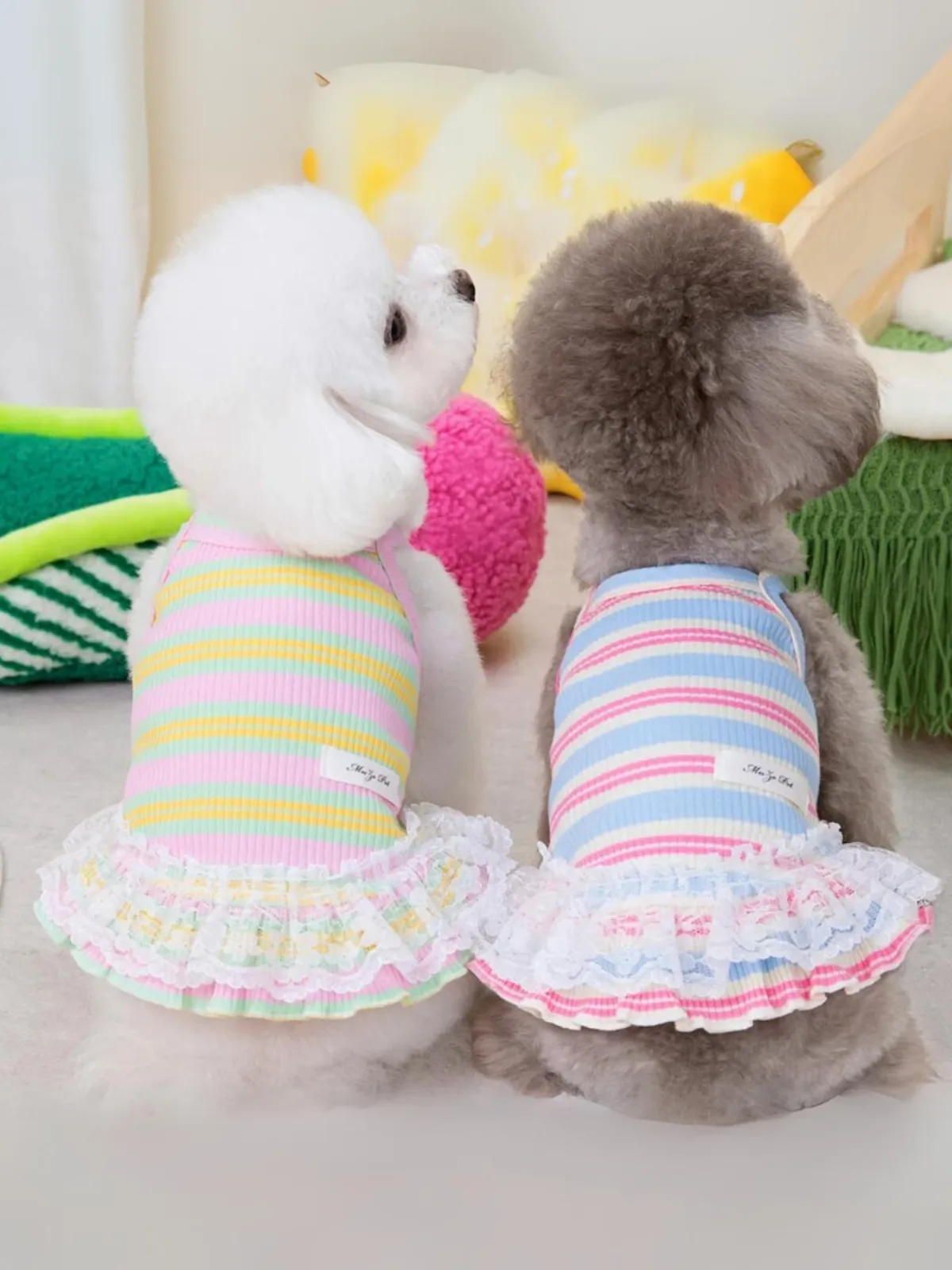 Adorable Striped Summer Lace Dress for Dogs