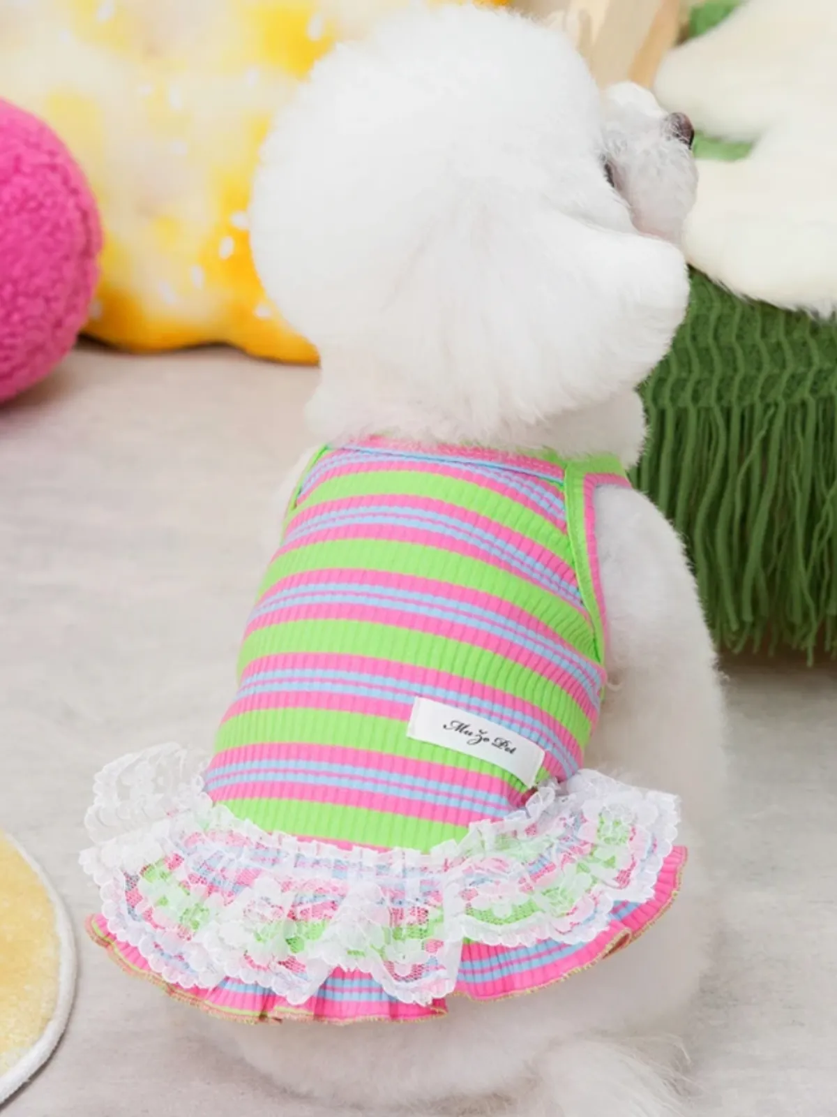 Adorable Striped Summer Lace Dress for Dogs