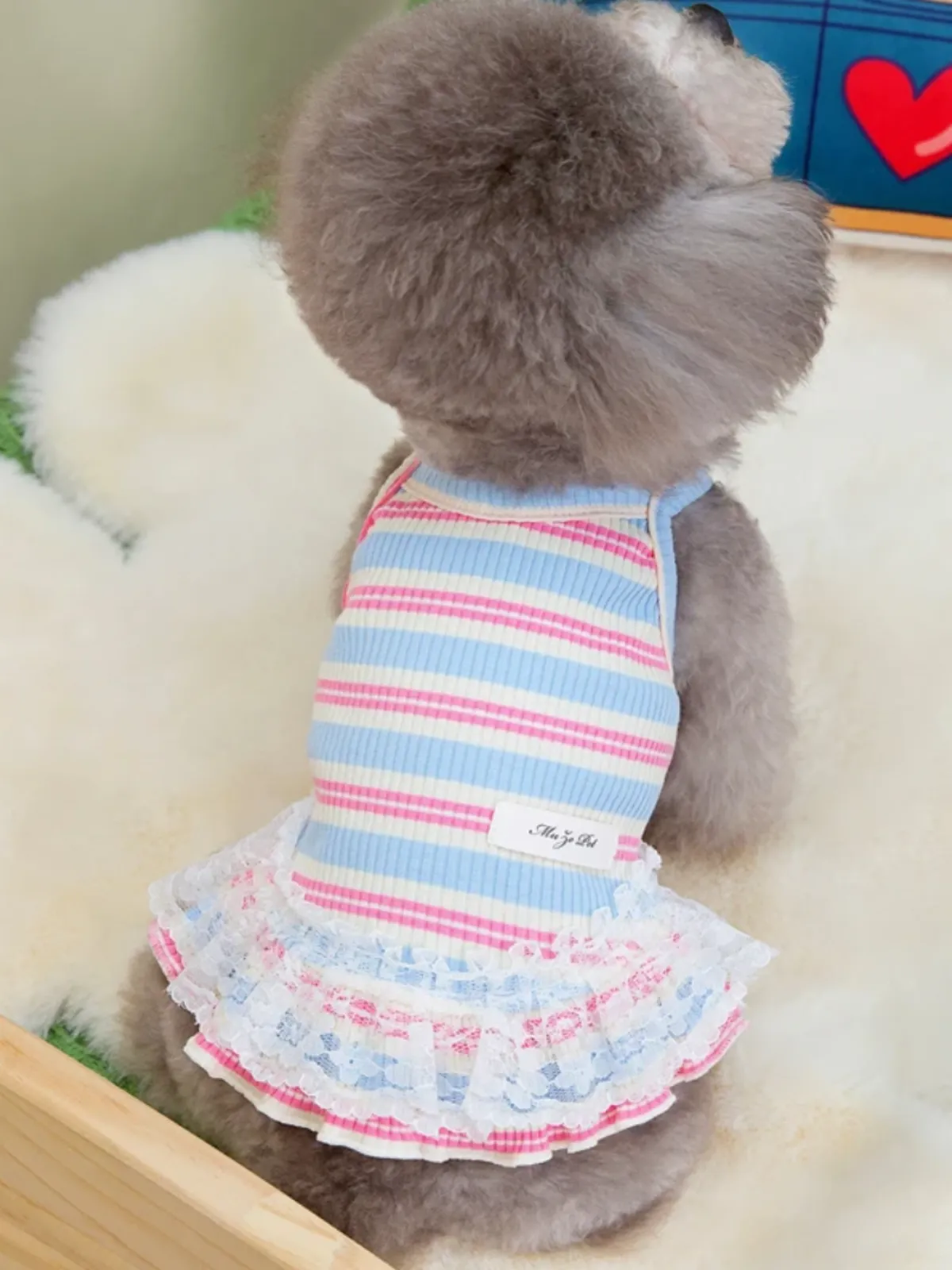 Adorable Striped Summer Lace Dress for Dogs