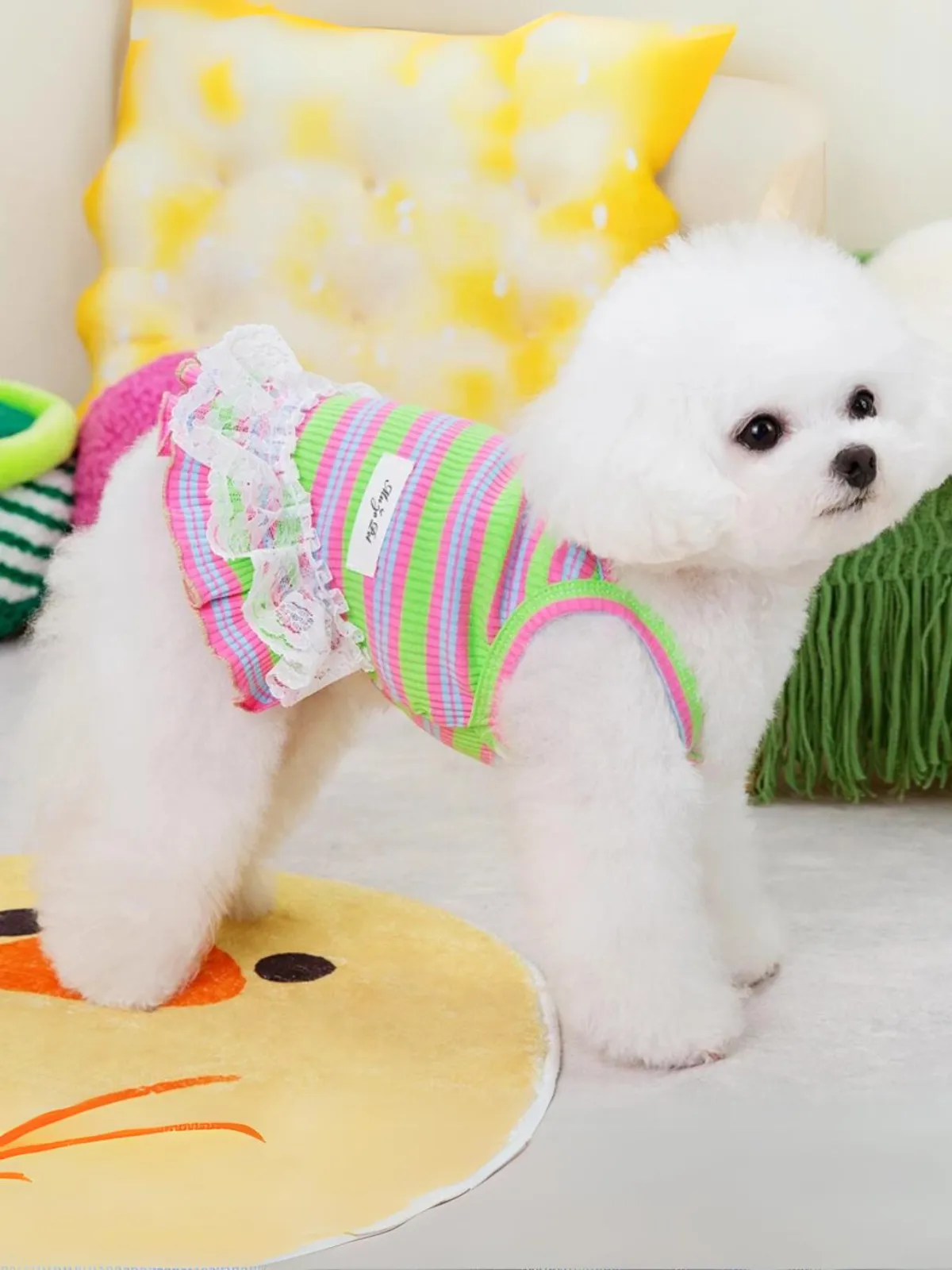 Adorable Striped Summer Lace Dress for Dogs