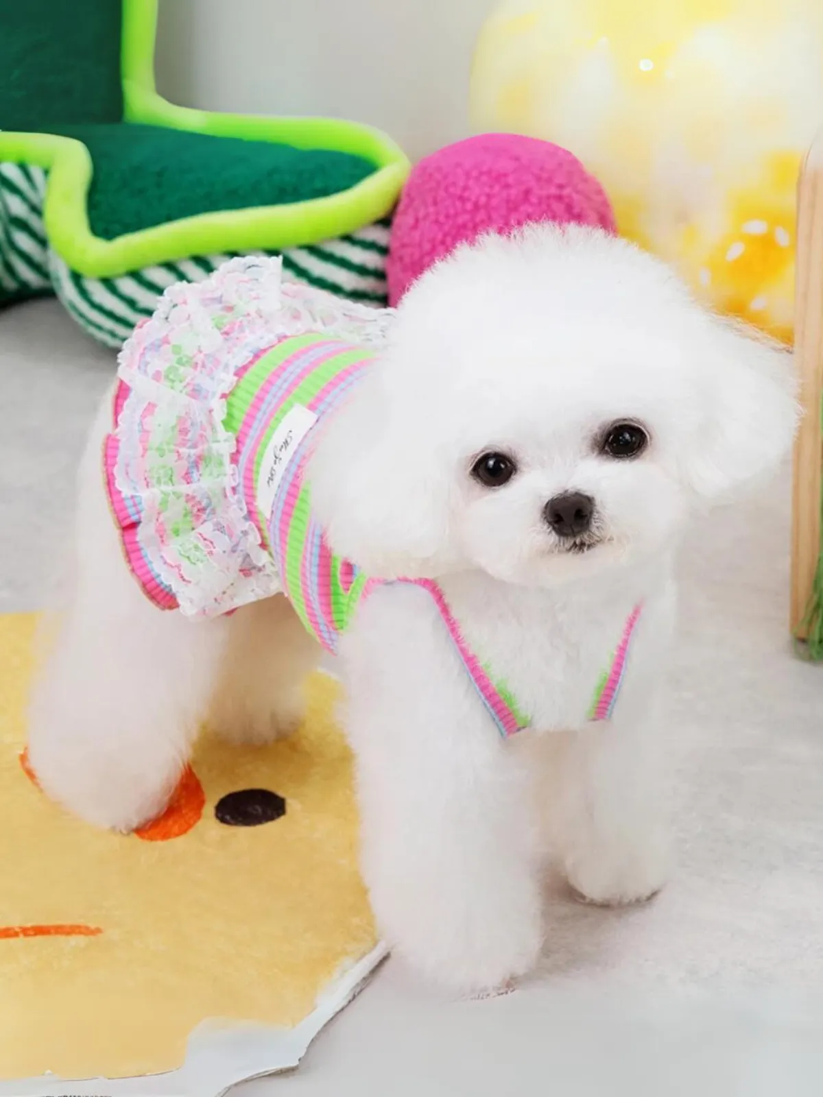 Adorable Striped Summer Lace Dress for Dogs