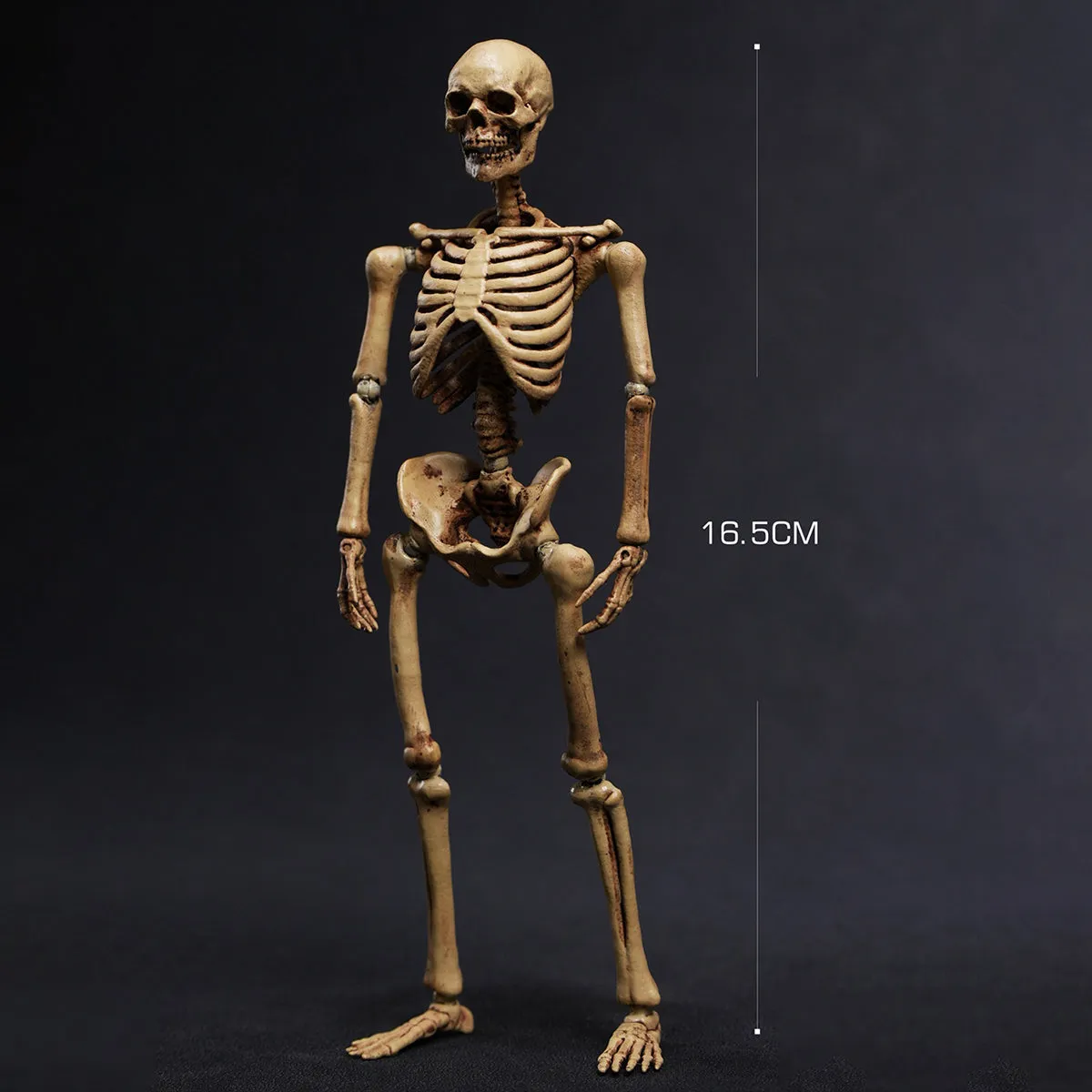 HiPlay 101TOYS Palm Elf Series 6 Inches Jointed Body Shape Skeleton Frame Boby Original Color Figure Body