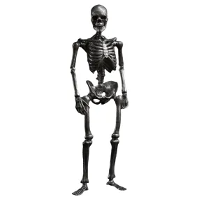 HiPlay 101TOYS Palm Elf Series 6 Inches Jointed Body Shape Skeleton Frame Boby Silver Color Figure Body