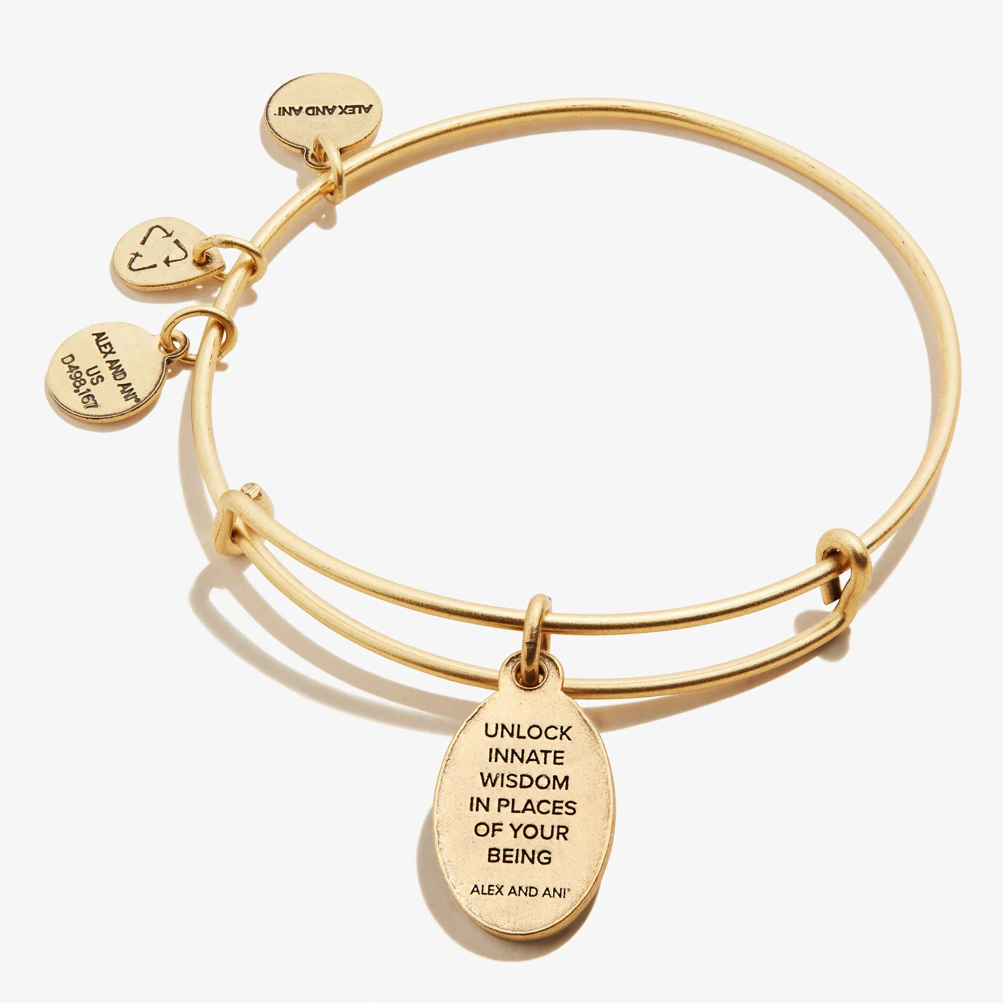 Key to Wisdom Charm Bangle