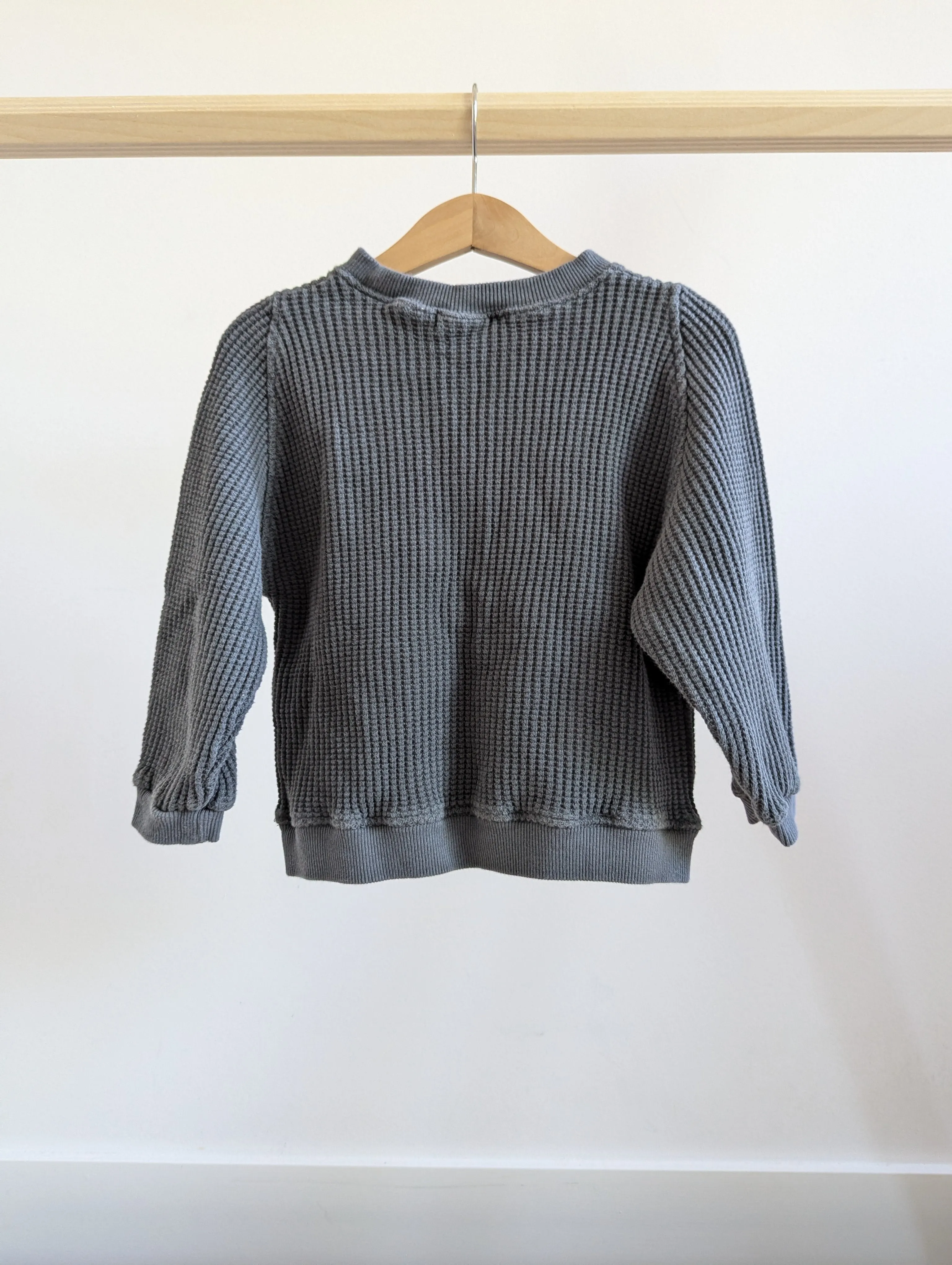 Zara Sweatshirt ( 3-4T )